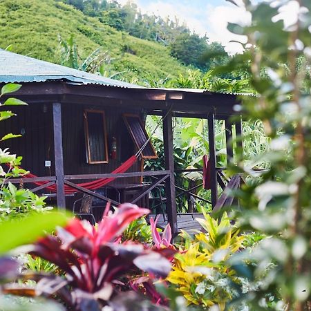 Hibiscus Valley Inn Marigot Bagian luar foto