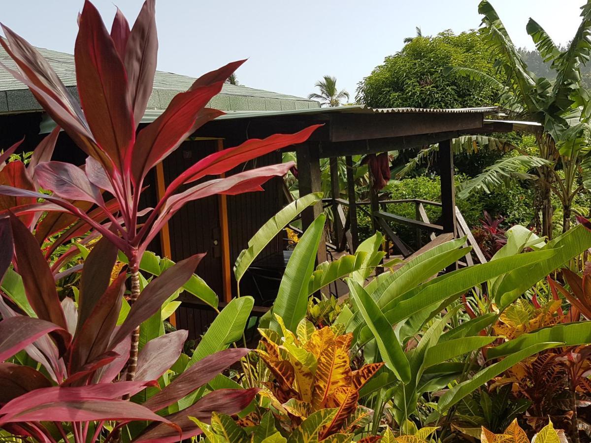 Hibiscus Valley Inn Marigot Bagian luar foto