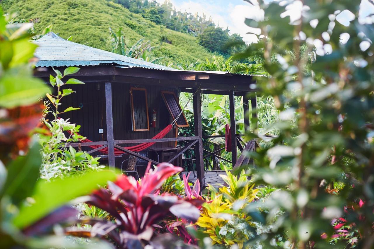 Hibiscus Valley Inn Marigot Bagian luar foto