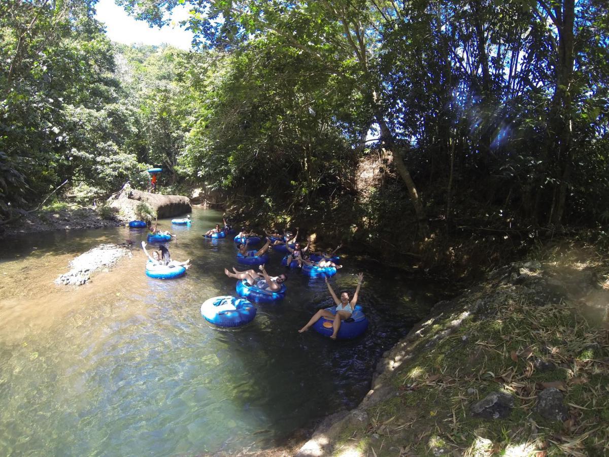 Hibiscus Valley Inn Marigot Bagian luar foto