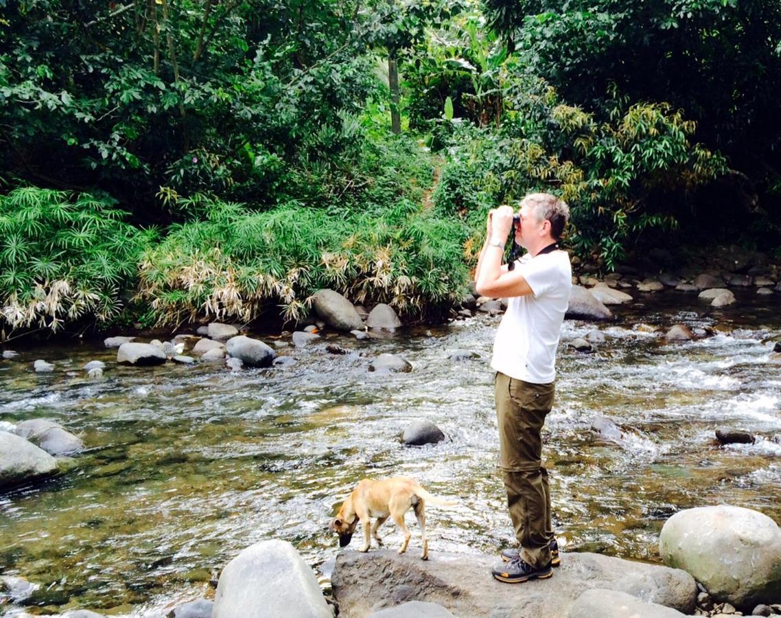 Hibiscus Valley Inn Marigot Bagian luar foto