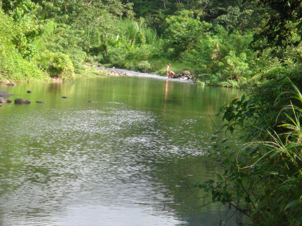 Hibiscus Valley Inn Marigot Ruang foto