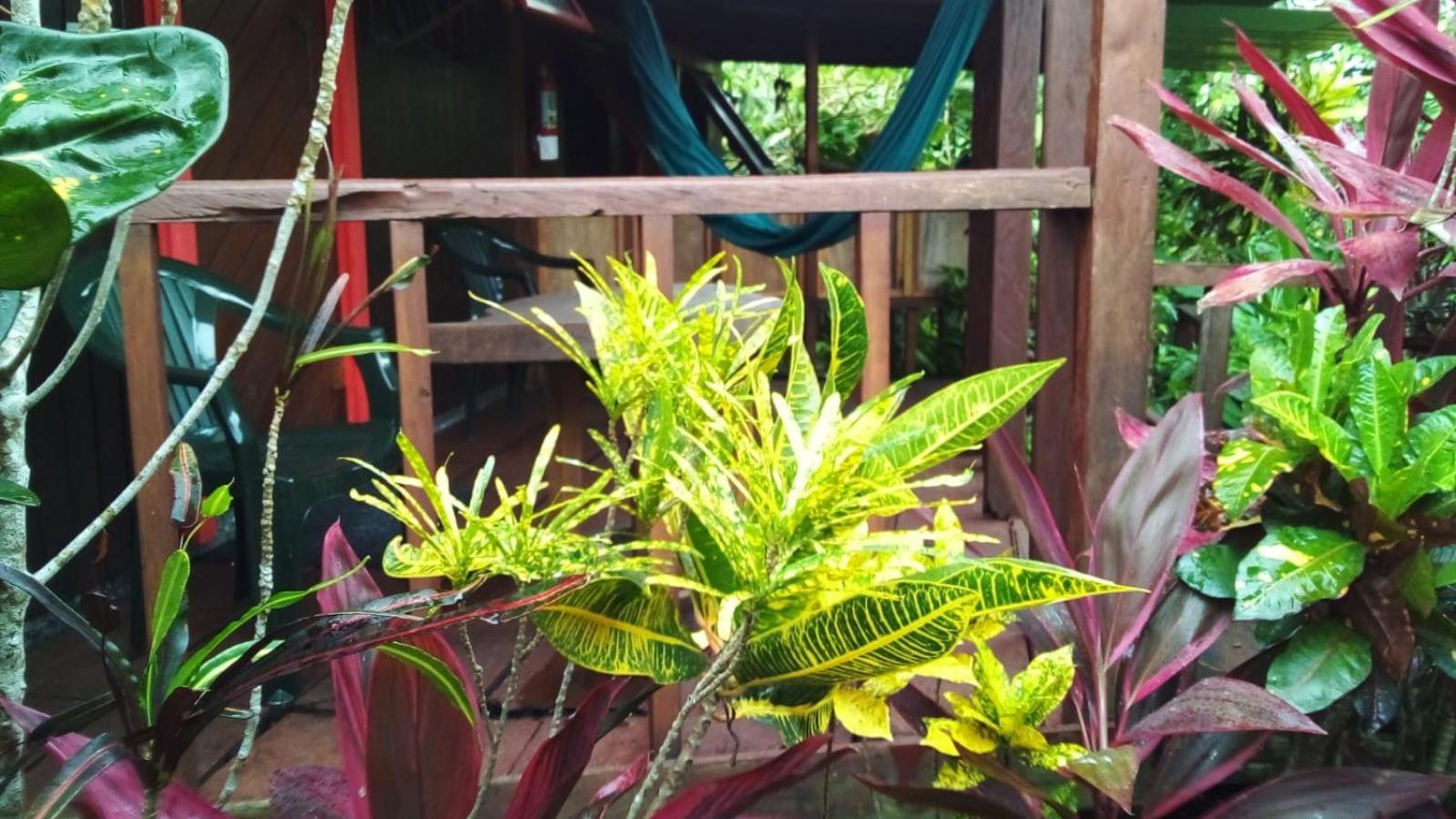 Hibiscus Valley Inn Marigot Bagian luar foto