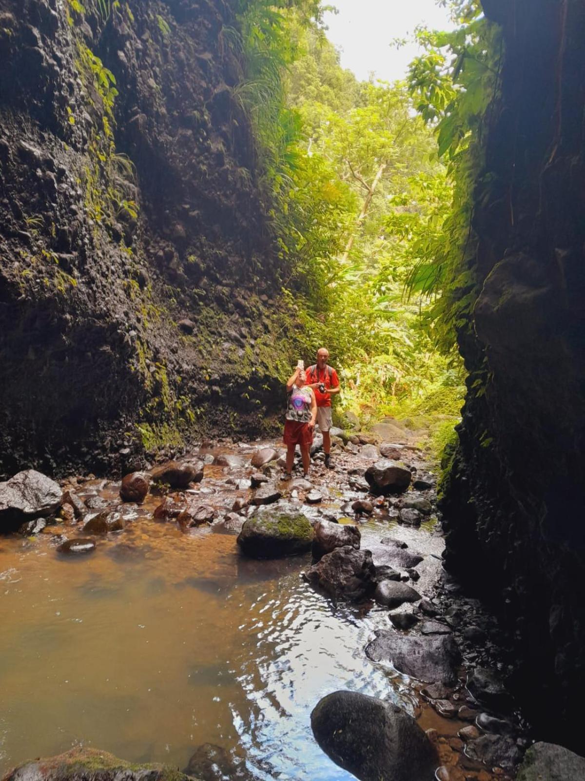 Hibiscus Valley Inn Marigot Bagian luar foto