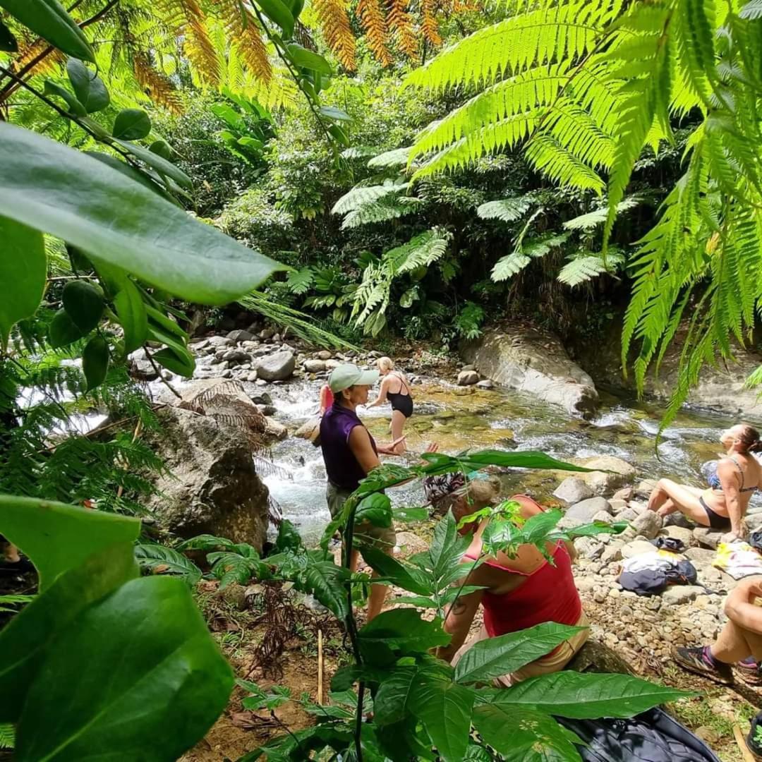 Hibiscus Valley Inn Marigot Bagian luar foto
