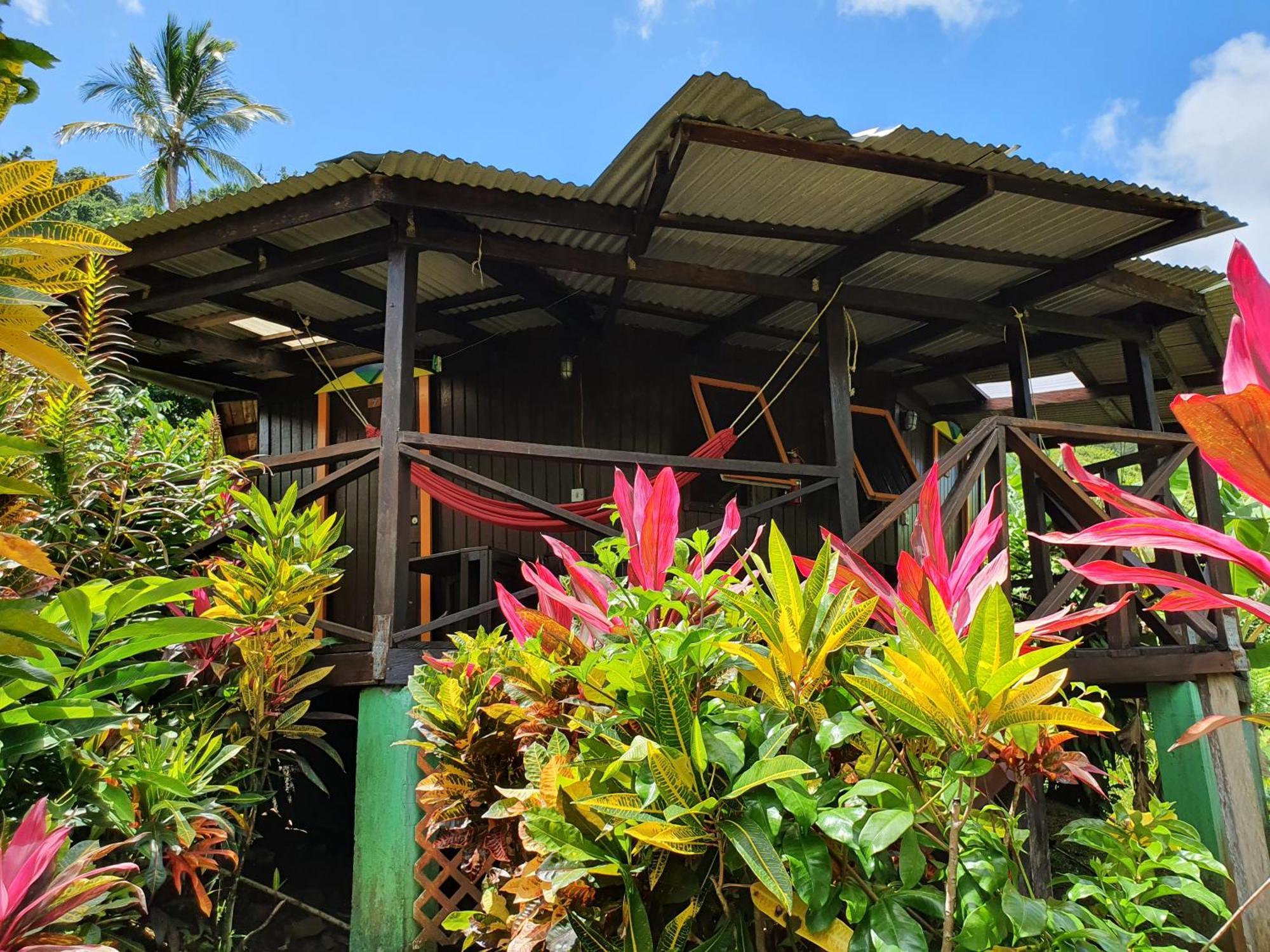 Hibiscus Valley Inn Marigot Bagian luar foto