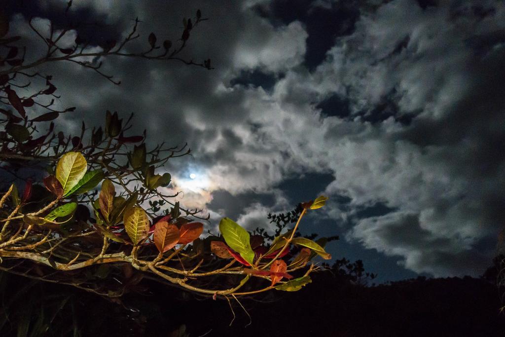 Hibiscus Valley Inn Marigot Bagian luar foto