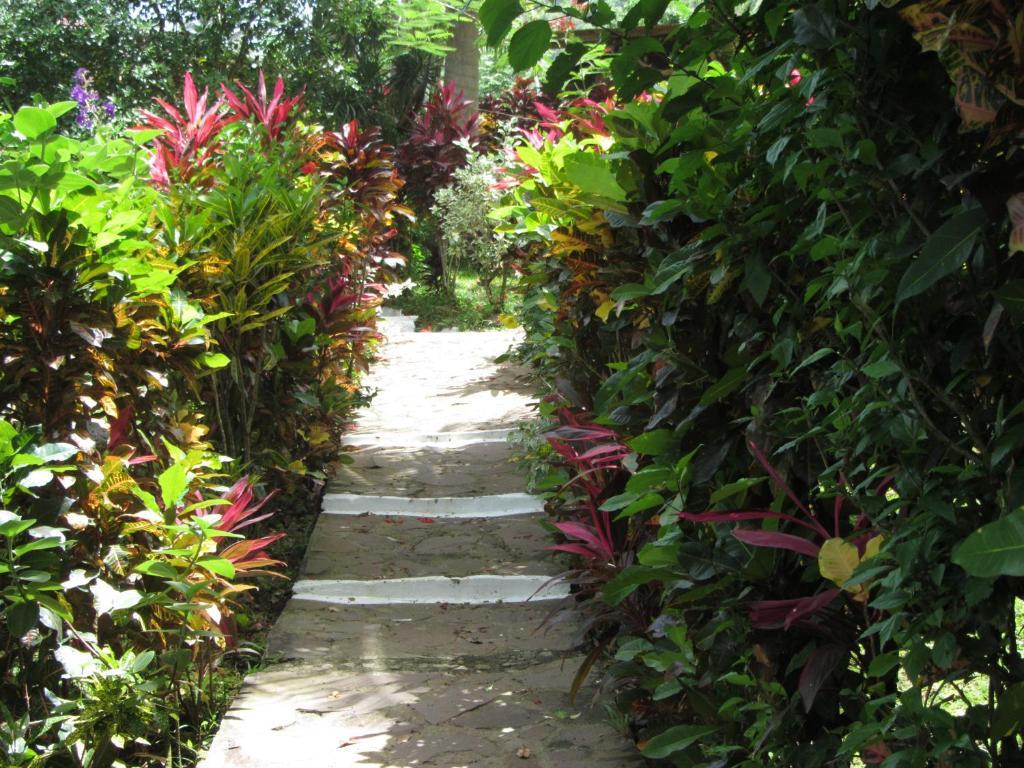 Hibiscus Valley Inn Marigot Ruang foto