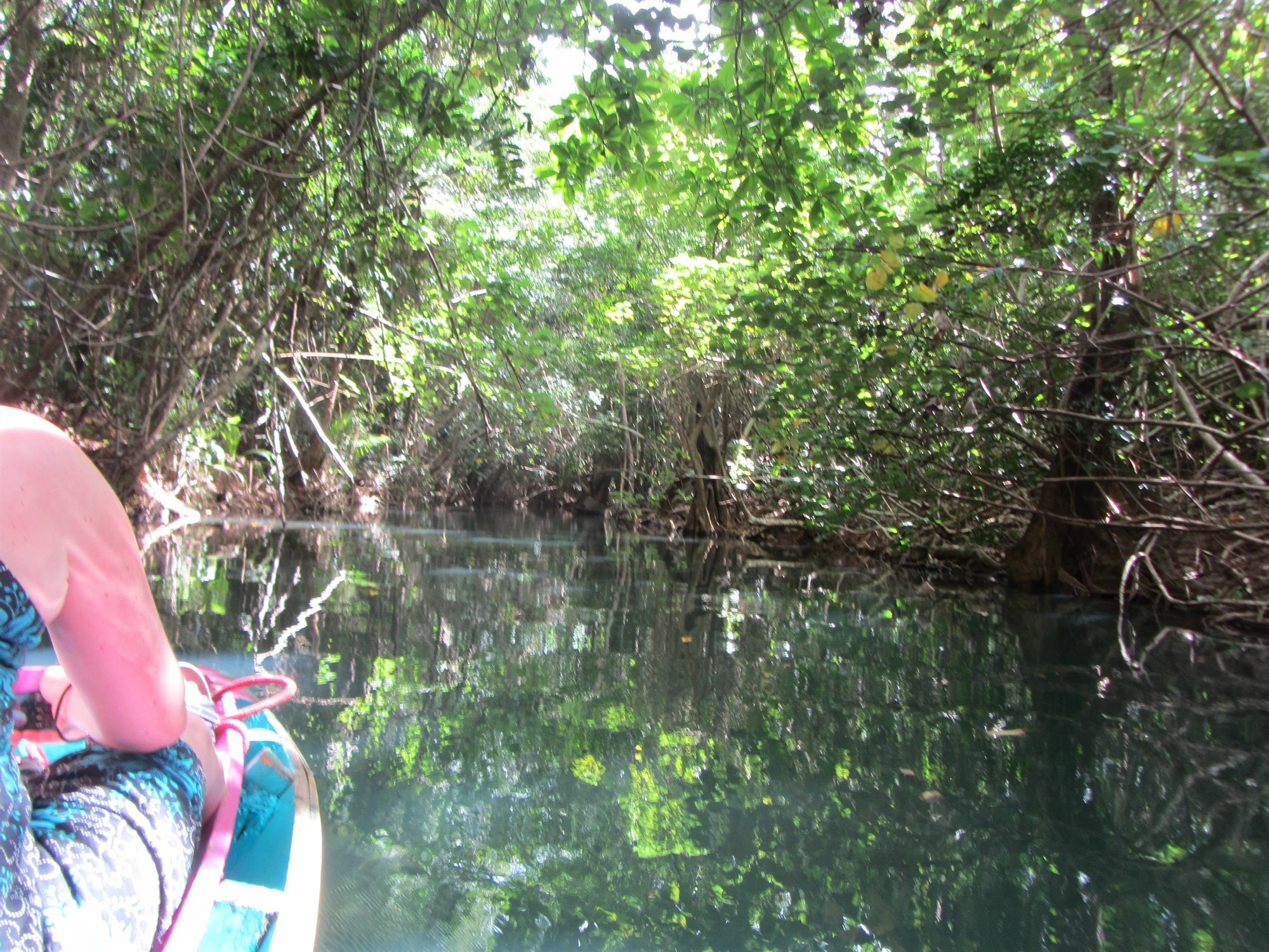 Hibiscus Valley Inn Marigot Bagian luar foto