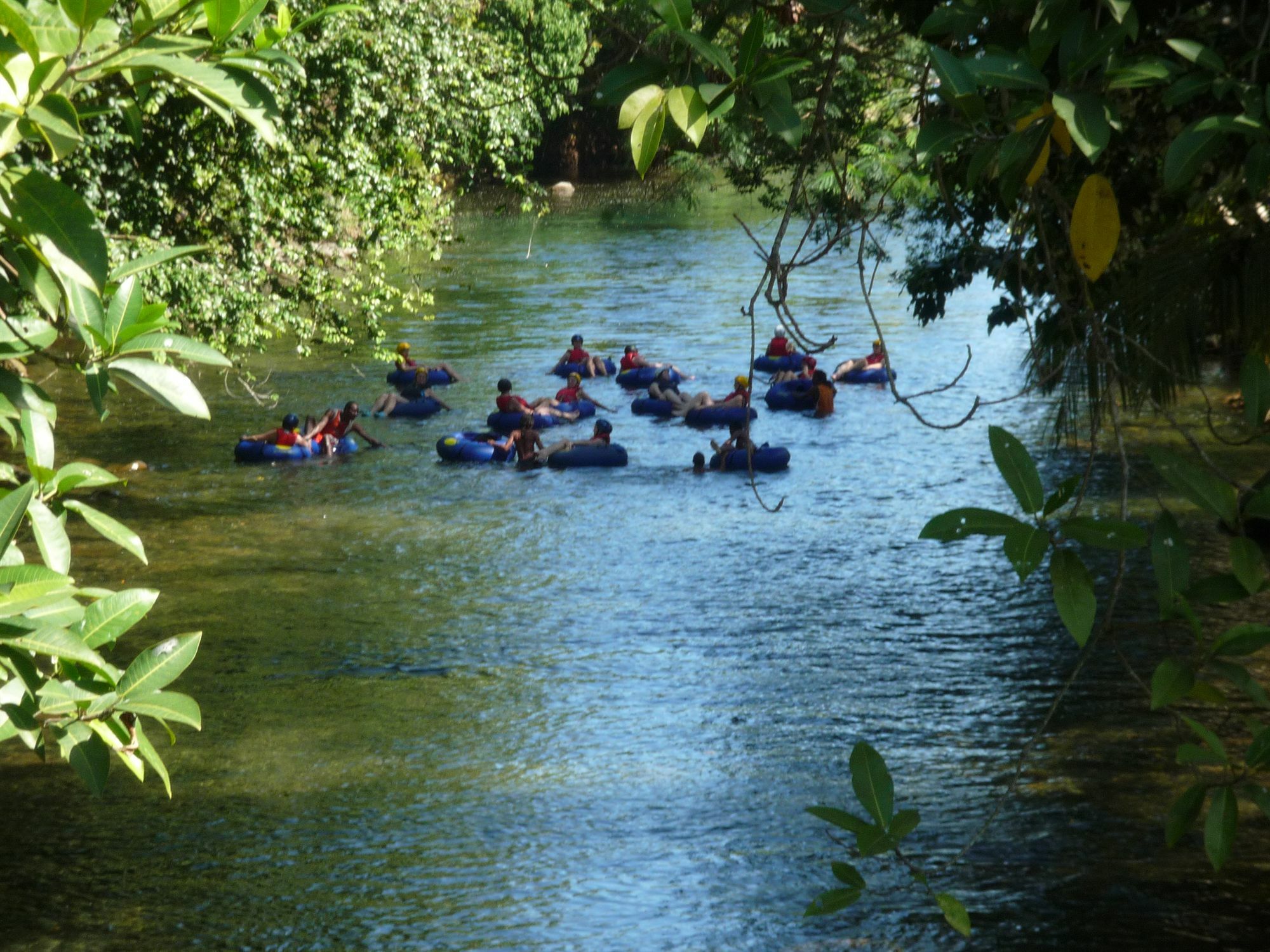 Hibiscus Valley Inn Marigot Bagian luar foto