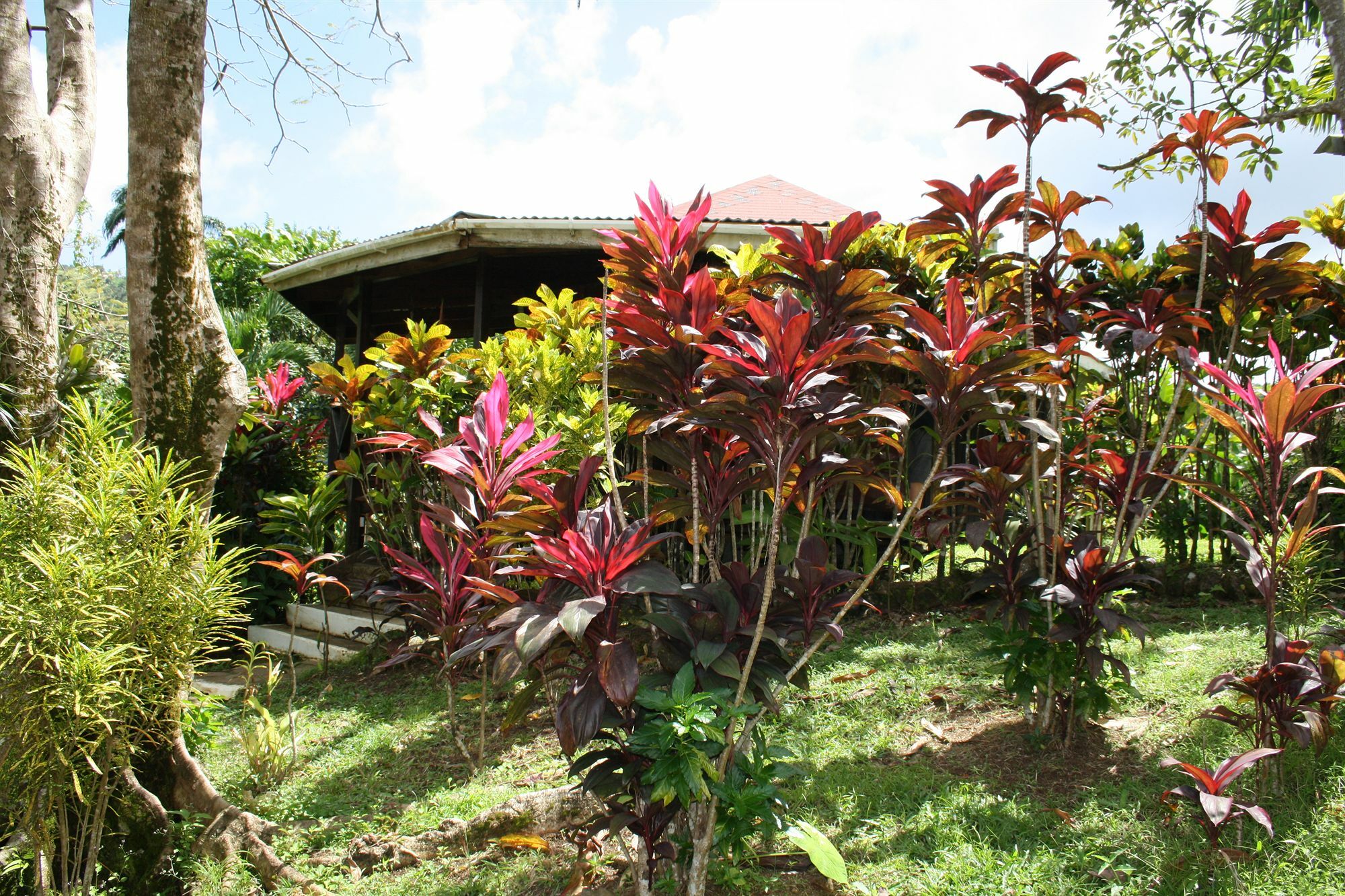 Hibiscus Valley Inn Marigot Bagian luar foto