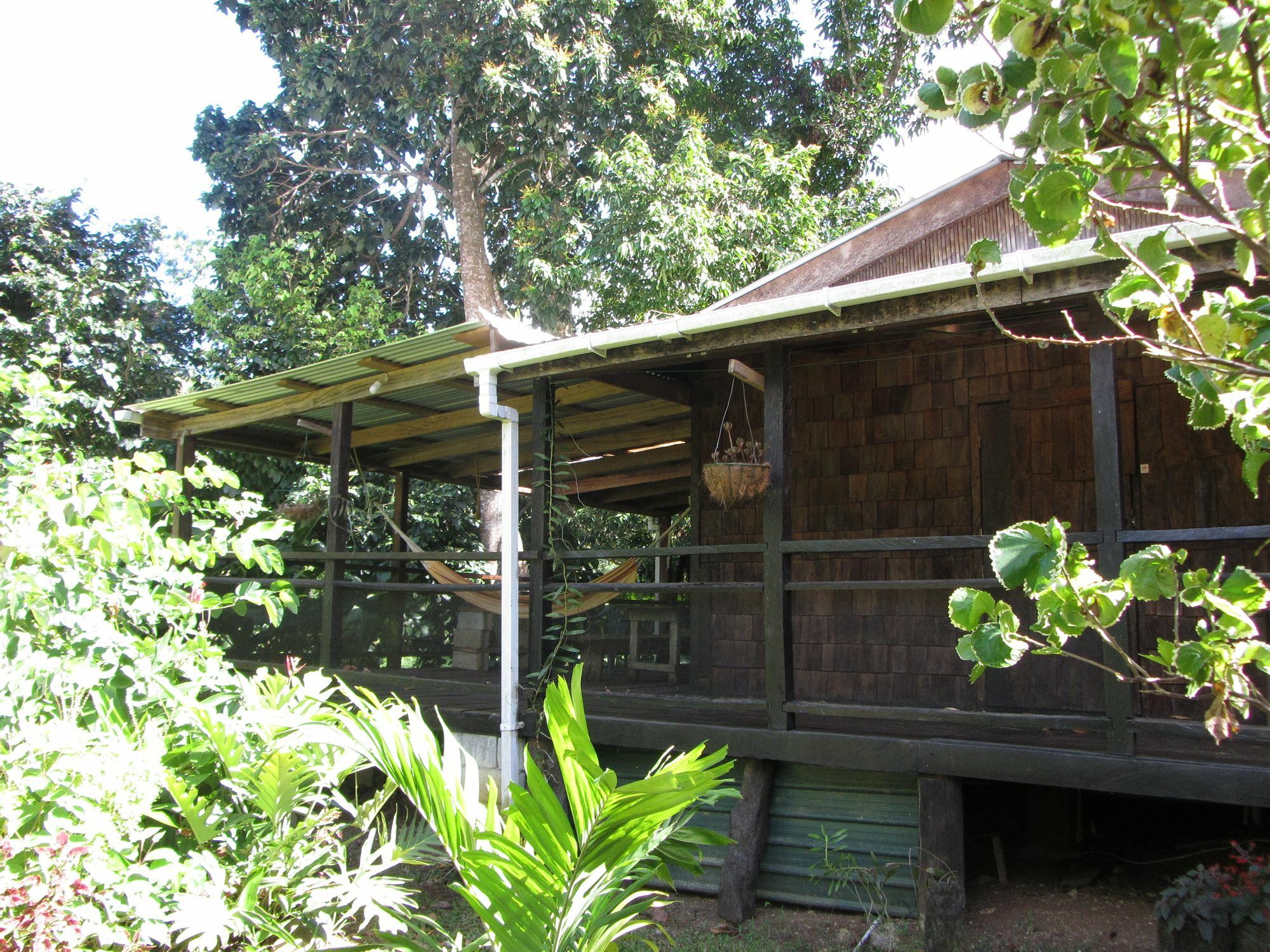 Hibiscus Valley Inn Marigot Bagian luar foto